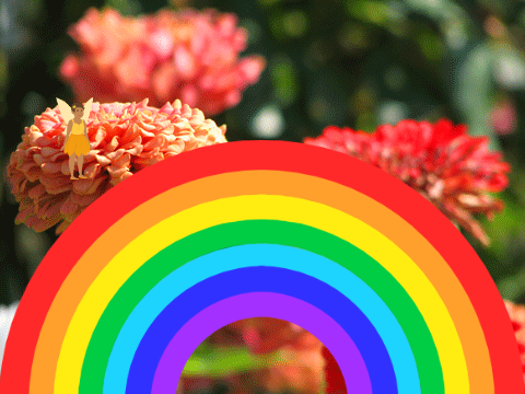 rainbow time