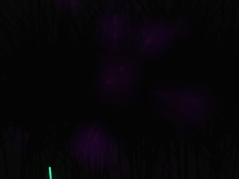 Fireworks!