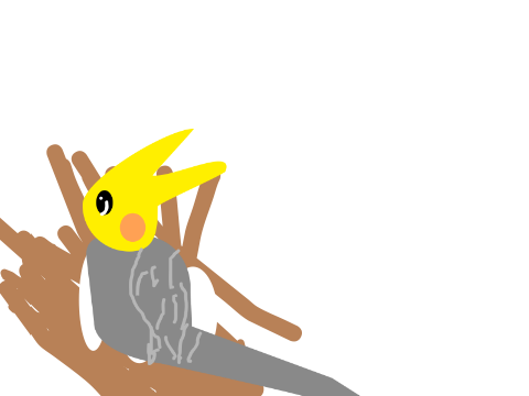 My first cockatiel that I drew on scratch:)!♡★☺︎