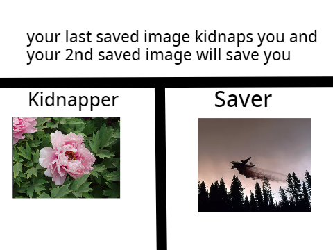 Hmm.... 