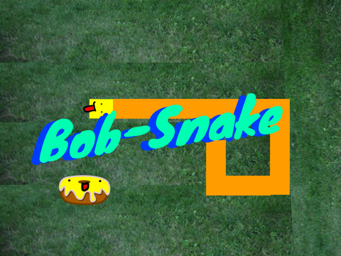 Bob-Snake