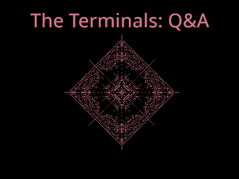 The Terminals: Q&A