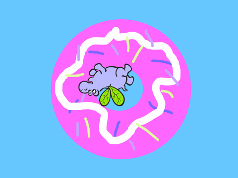 Hippo Munch Game DAY 1