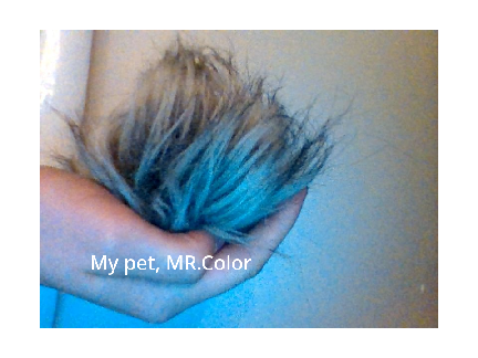 My beautiful pet >3