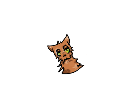 um random art