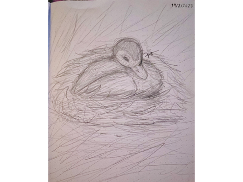 Week 1 Art Challenge: Duck!