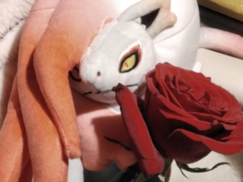 He Giveth You A Rose :)