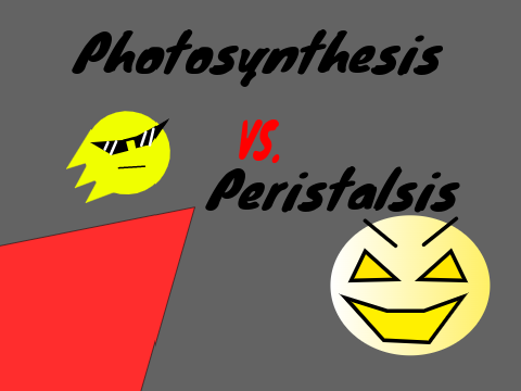 Photosynthesis vs. Peristalsis