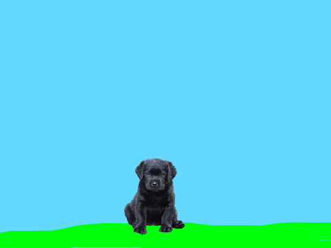 Doge clicker