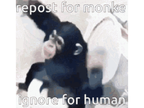 mknoey