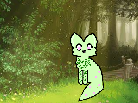 Wild Cat