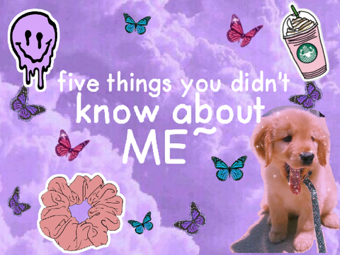 ✿❀five things you didn't know about me~❀✿