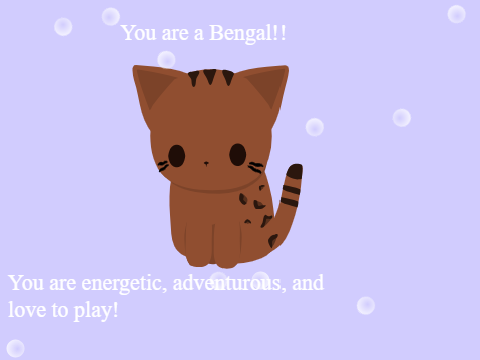 What Cat are you? 