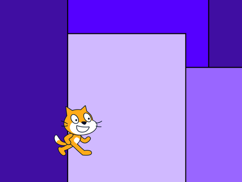 IMA CAT