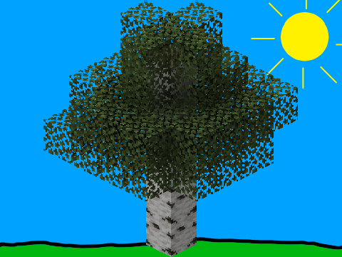Birch Tree 