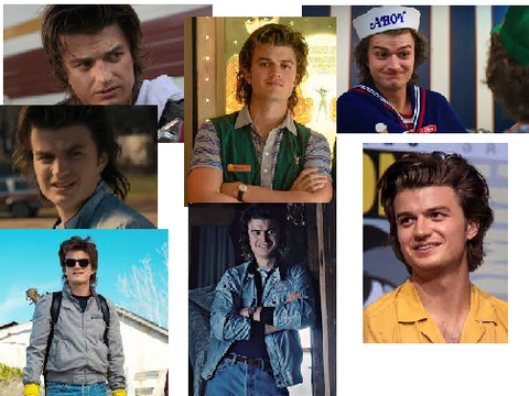 Steve Harrington banner 