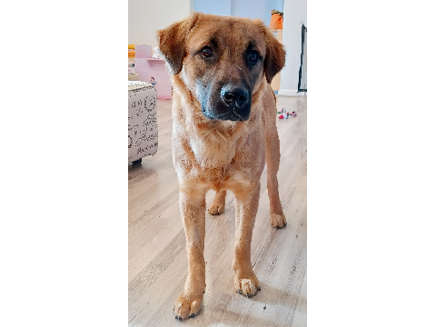 Benji's Pic for Portrait remake