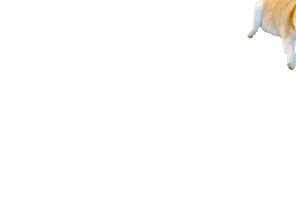 Doge clicker (ENTRY VERSION)