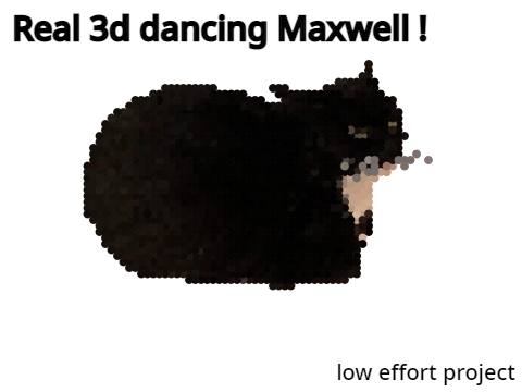 Real 3D dancing Maxwell !