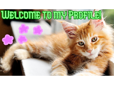 Welcome