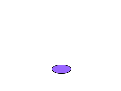 animation class be like