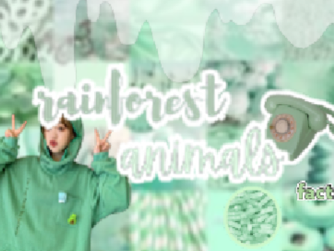 (∩^o^)⊃━☆ cute rainforest animals