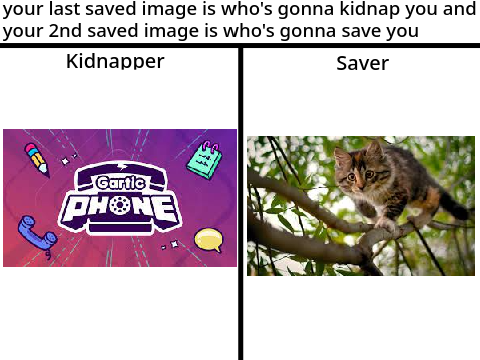 One Image saves you, the other doesn't