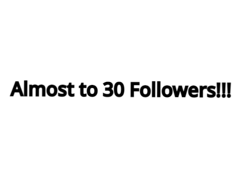 Almost to 30 followers!!!