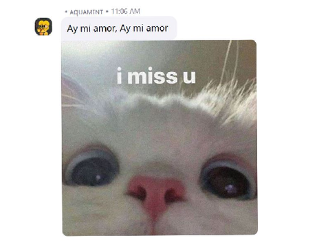 Un Poco Loco but forever