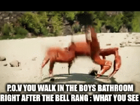 Middleschool memes part 3 i think 