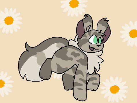 ✦Dasherkit Application✦