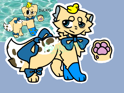 1 year . redraw