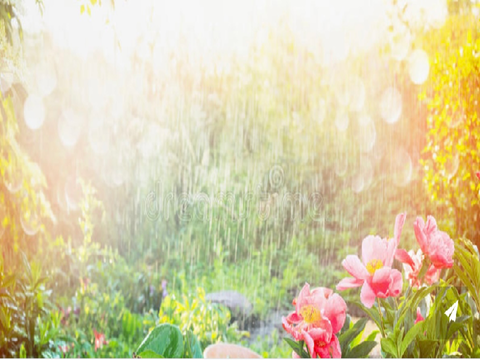 Arcadia’sCoolMusic: Fantasy Garden Land 