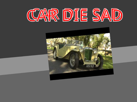 car dies very sad