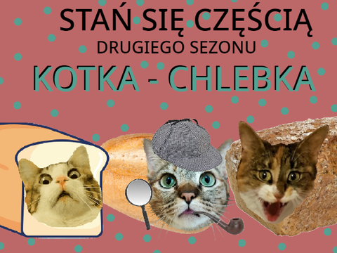 Stań się częścią Kotka-Chebka!