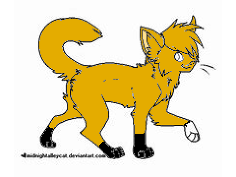 SandyKit