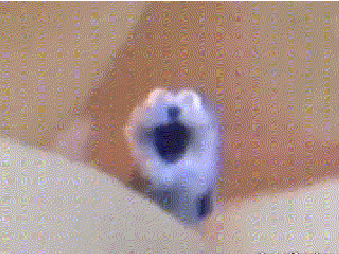 screaming blue thing remix remix remix remix remix remix remix remix remix