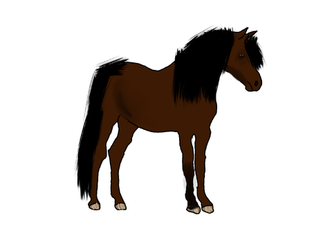 Horse for: Ilovehorsesanddogs12