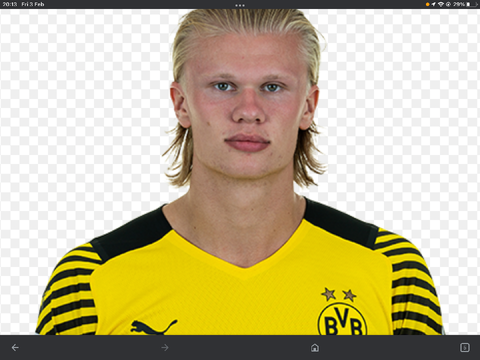 Haaland