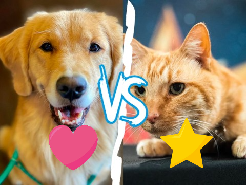 Lucky the Pizza Dog or Goose the Flerken?