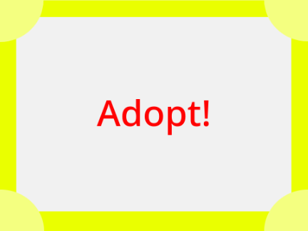 Adopt An Animal (open!)