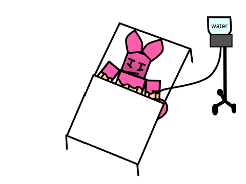 berry eats an entire cantaloupe and is hospitalized in the process but better