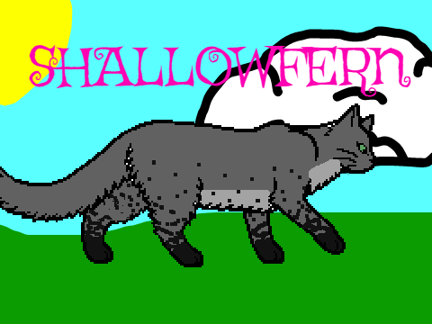 My Warrior OC: Shallowfern