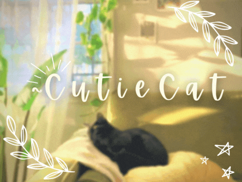 ~my banner