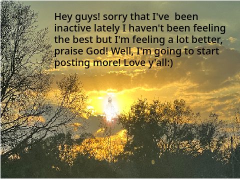Sorry for being kinda inactive