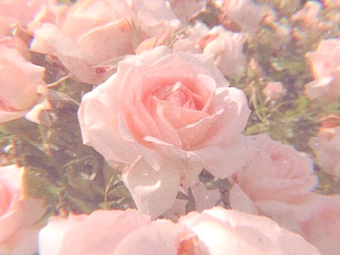 ❀-3