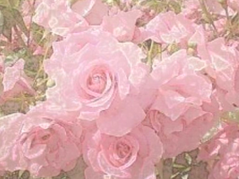 ❀ 
