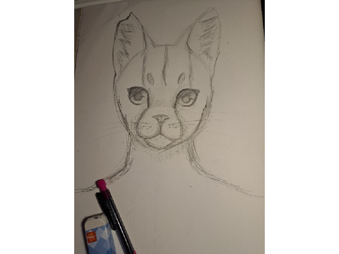 Котик