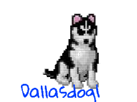 Dallasdog1
