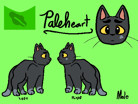 Starfall Cameo Entry :]